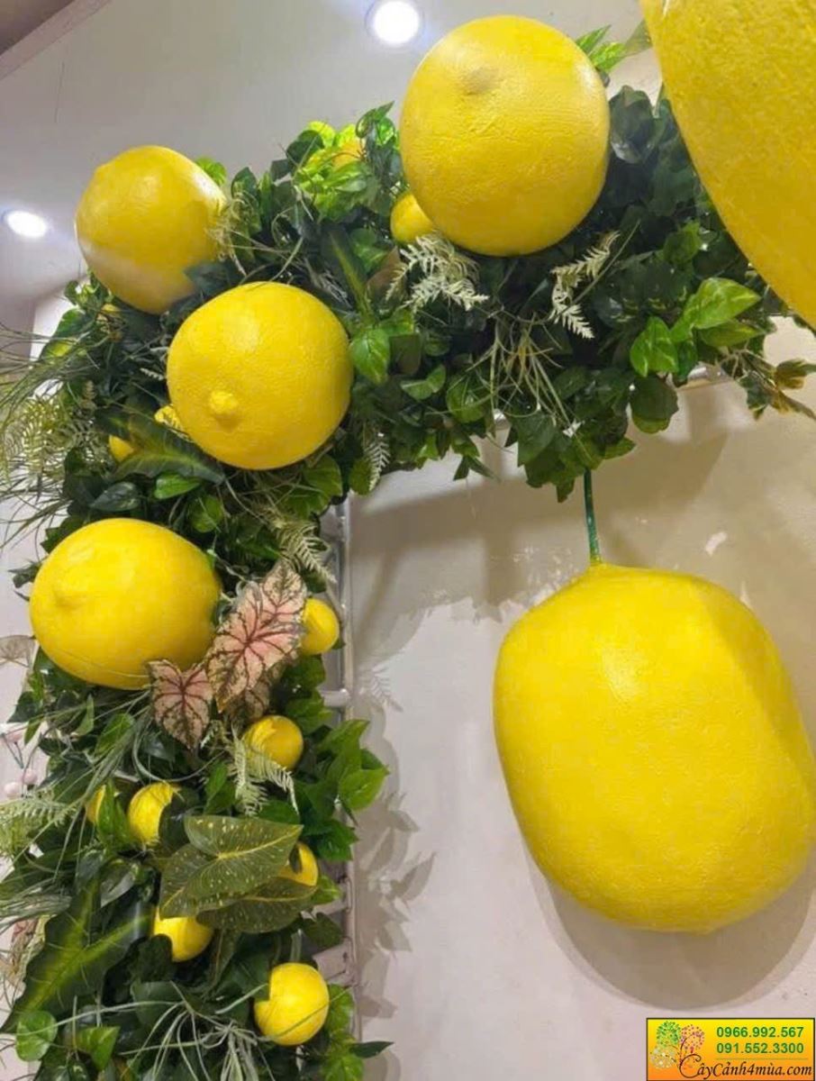 chanh vàng decor cùng cụm lá